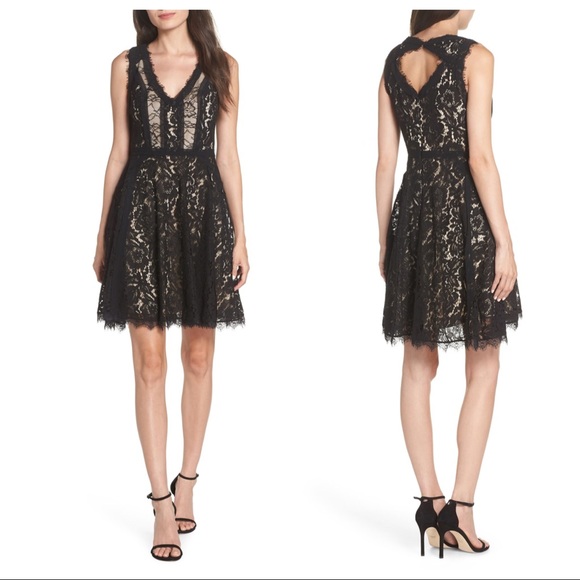 Heartloom Dresses & Skirts - NWT Heartloom Sienna Lace Fit & Flare Dress